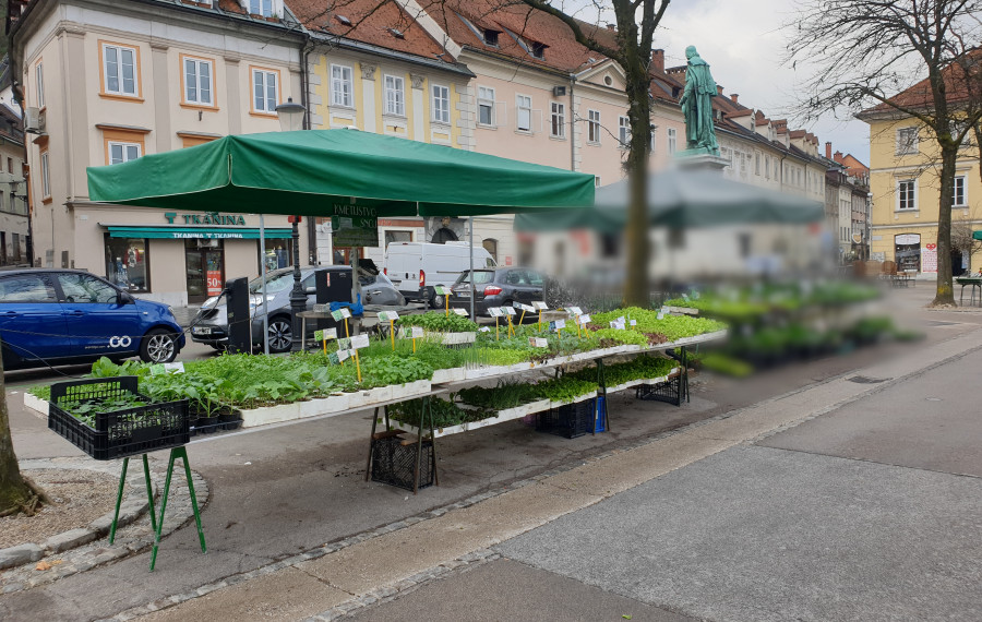 Kmetijstvo Snoj osrednja trznica