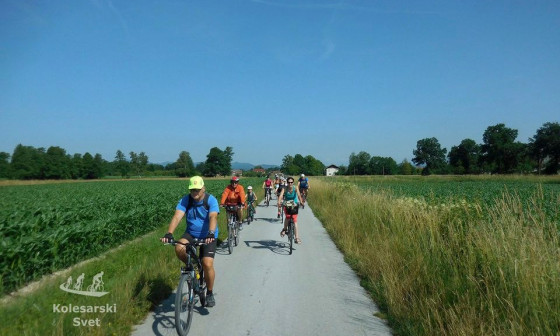 Kolesarski izlet Ljubljansko barje. Foto: Kolesarski svet