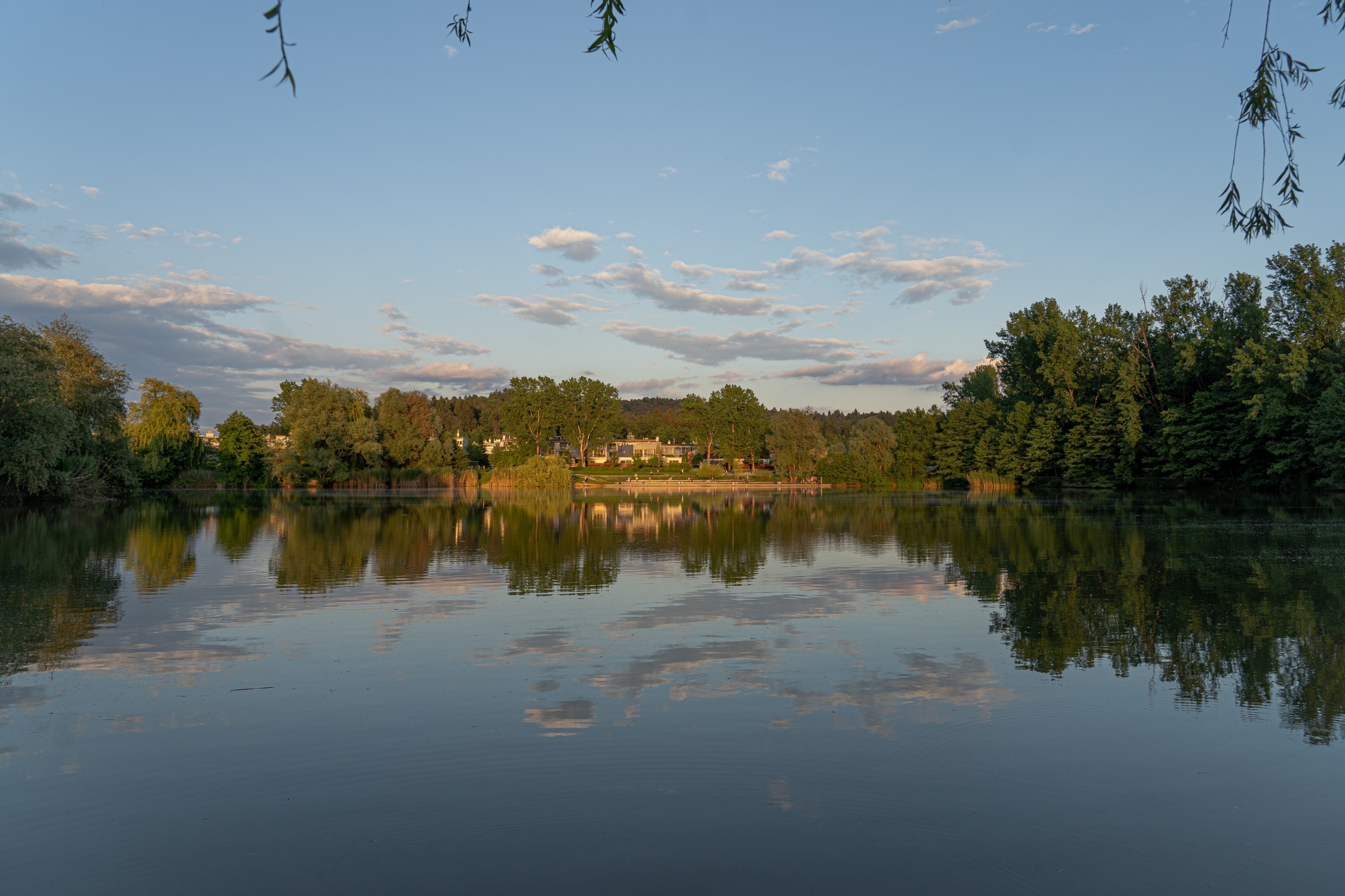 Koseski bajer foto LS 7