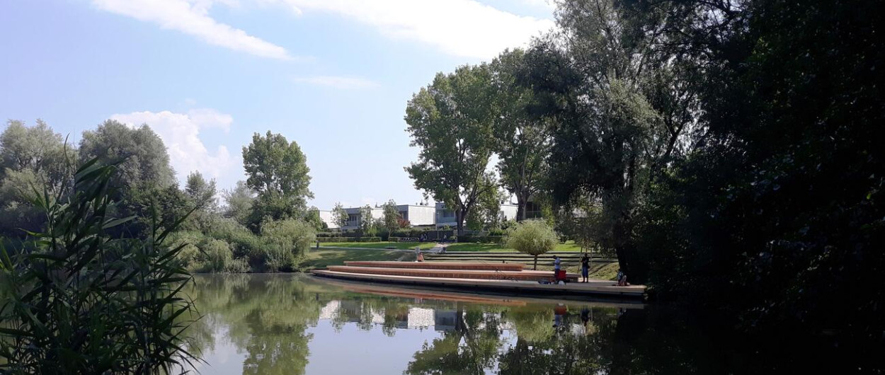Koseski bajer2