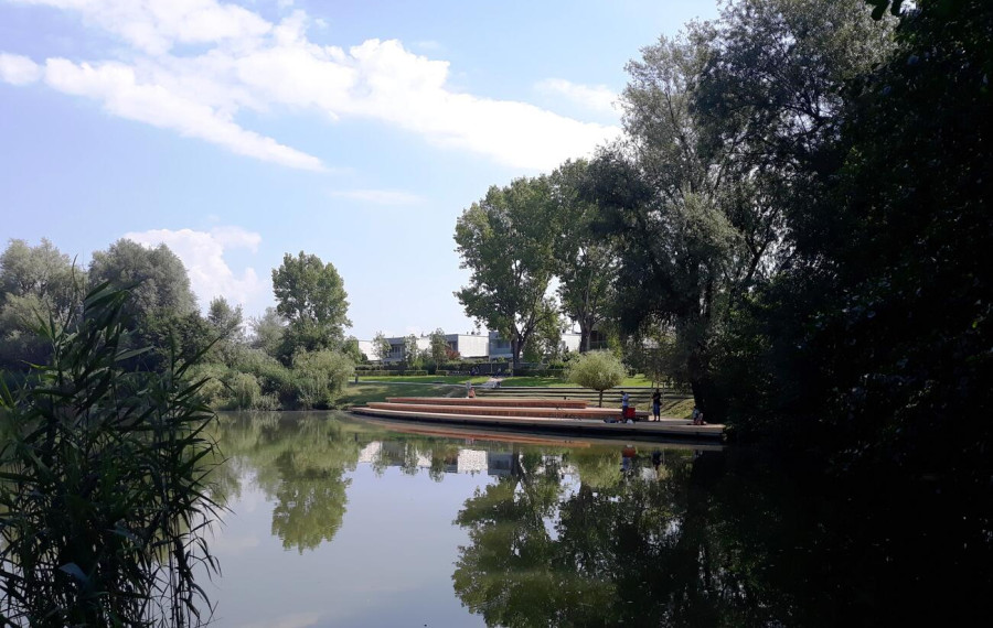 Koseski bajer2