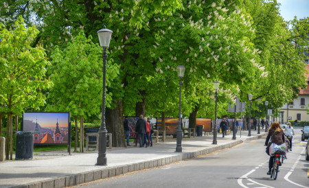 Krakovski nasip, foto: D. Wedam