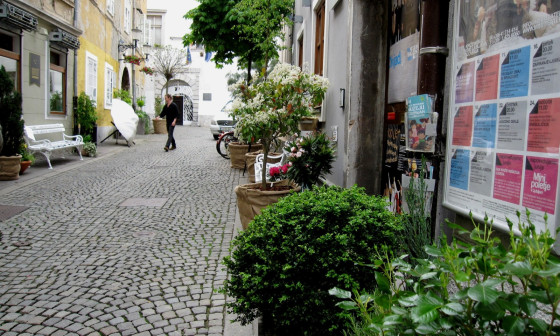 Križevniška ulica, polna zelenja