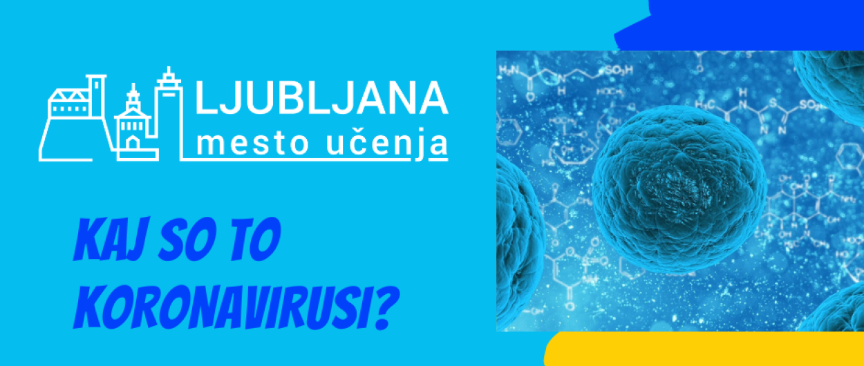 Foto vir Ljubljana mesto učenja