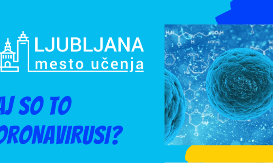 Foto vir Ljubljana mesto učenja