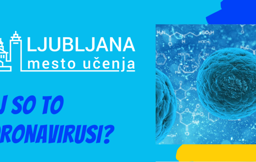 Foto vir Ljubljana mesto učenja