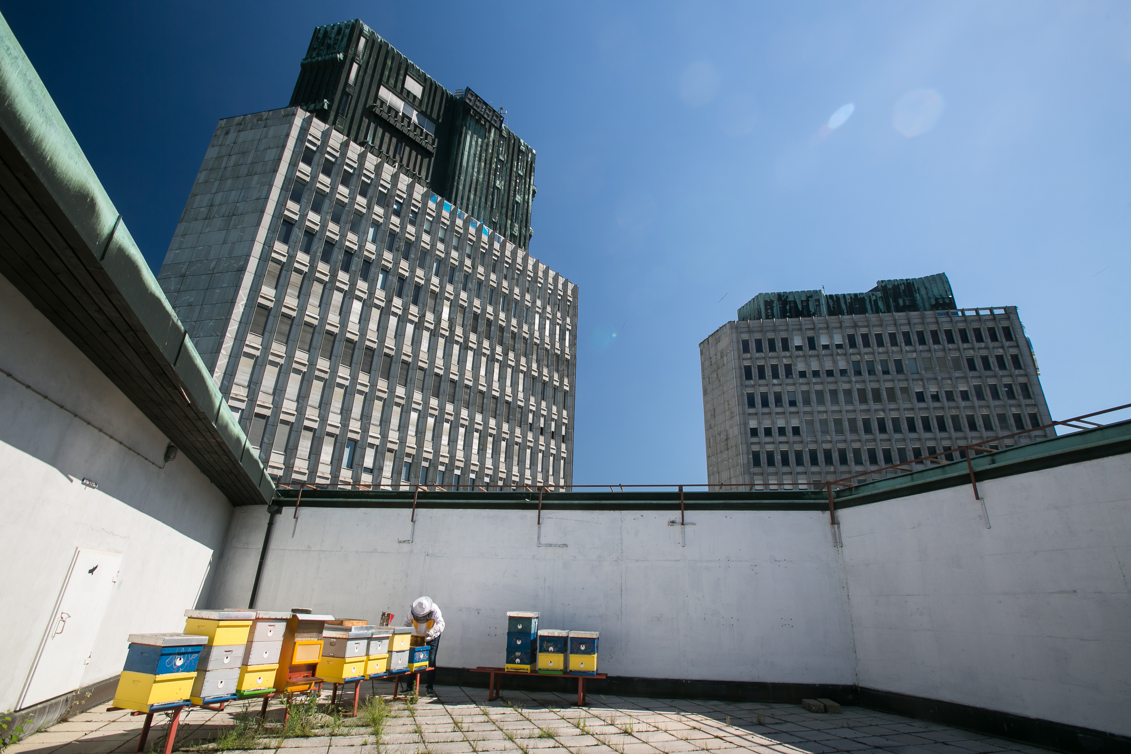 LJurbanoCebelarstvo fotoLukaDakskobler 3