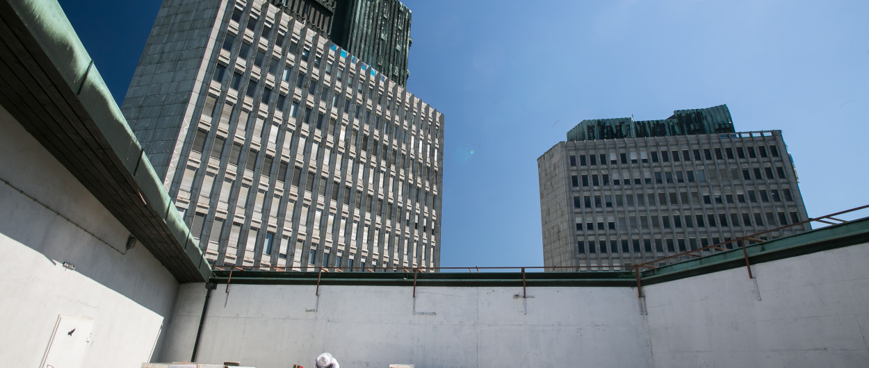 LJ urbano Cebelarstvo foto Luka Dakskobler