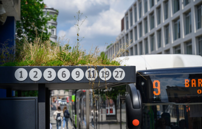 Ozelenjen avtobusni nadstrešek