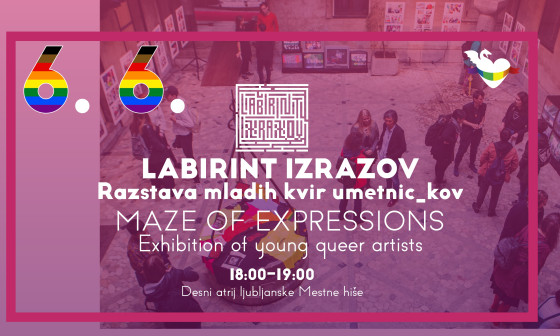 Labirint izrazov 