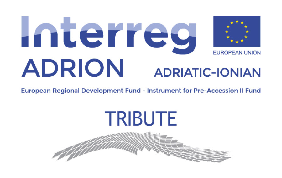 TRIBUTE logo
