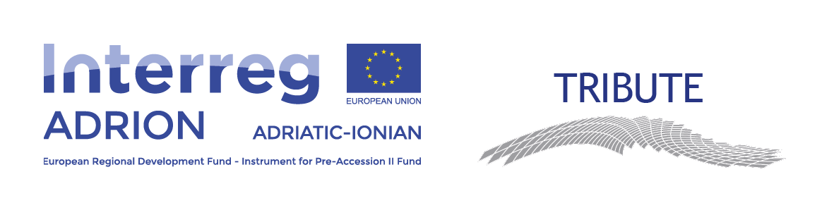 Logo orrizontale Adrion Sustainablen TRIBUTE