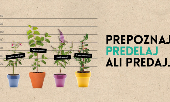 Prepoznaj, predelaj ali predaj