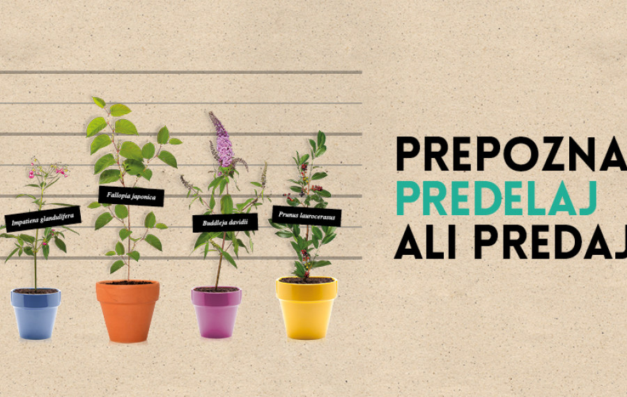 Prepoznaj, predelaj ali predaj