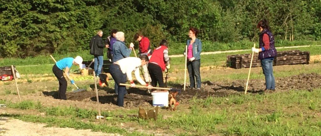 Majsko izobrazevanje na ucnem zelenjavnem vrtu Meliha Dizdarevic 11