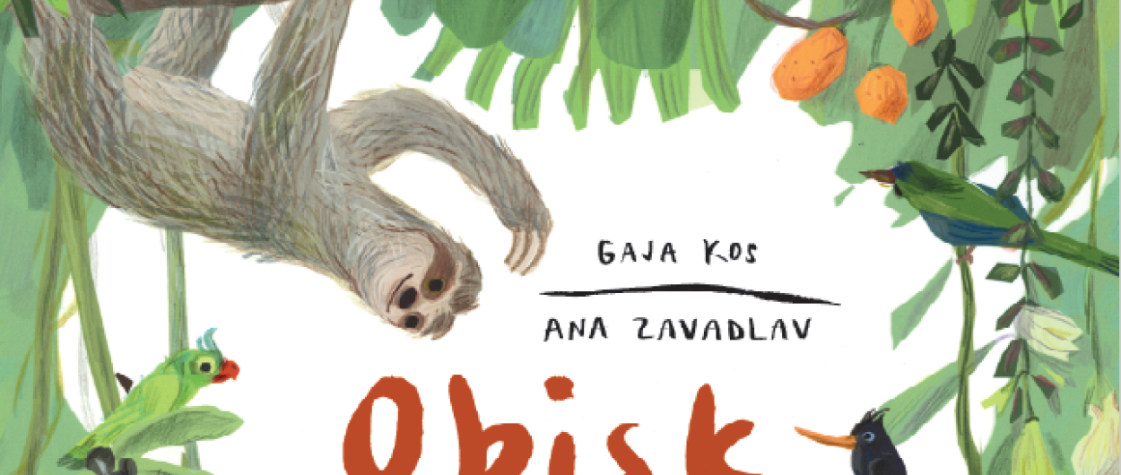 del naslovnice knjige Obisk
