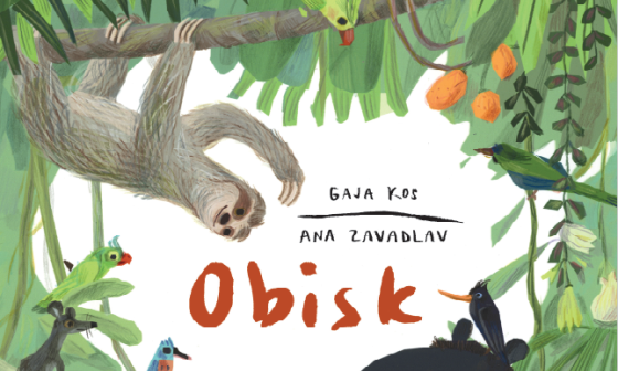 del naslovnice knjige Obisk