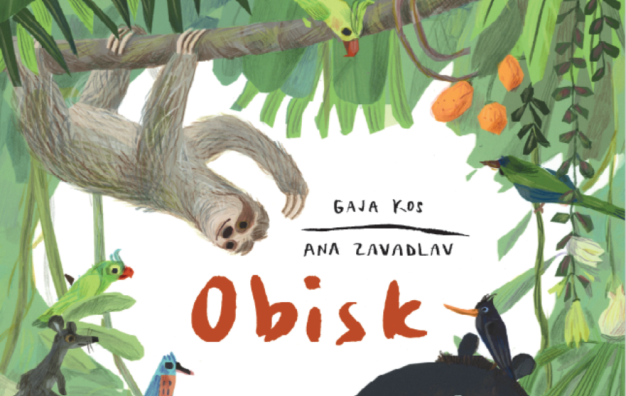 del naslovnice knjige Obisk