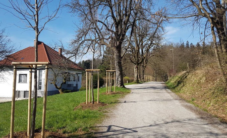 OKOLJE preferiramo drevored pri Cadu1 Snaga