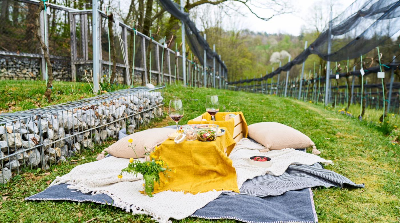 Piknik med grajskimi trtami Blaz Znidarsic arhiv LG