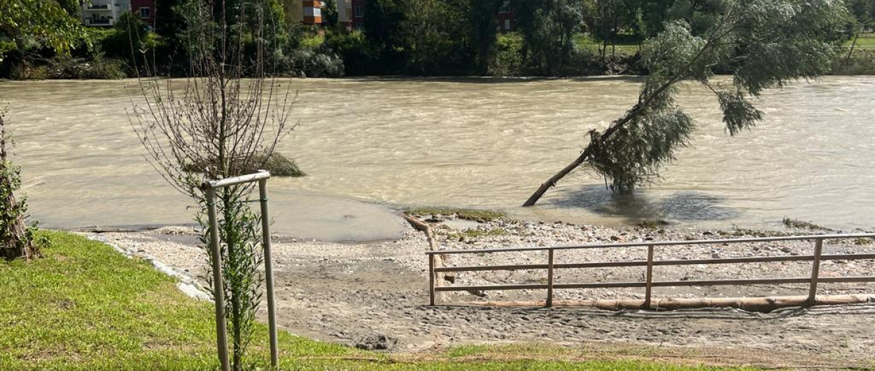 Deroča Sava. Foto: arhiv MOL