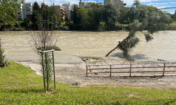 Deroča Sava. Foto: arhiv MOL