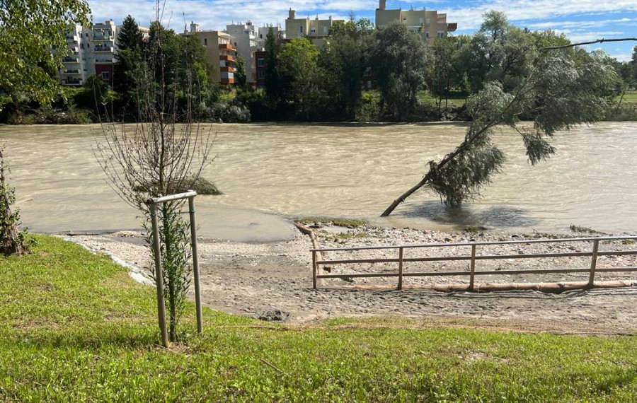 Deroča Sava. Foto: arhiv MOL