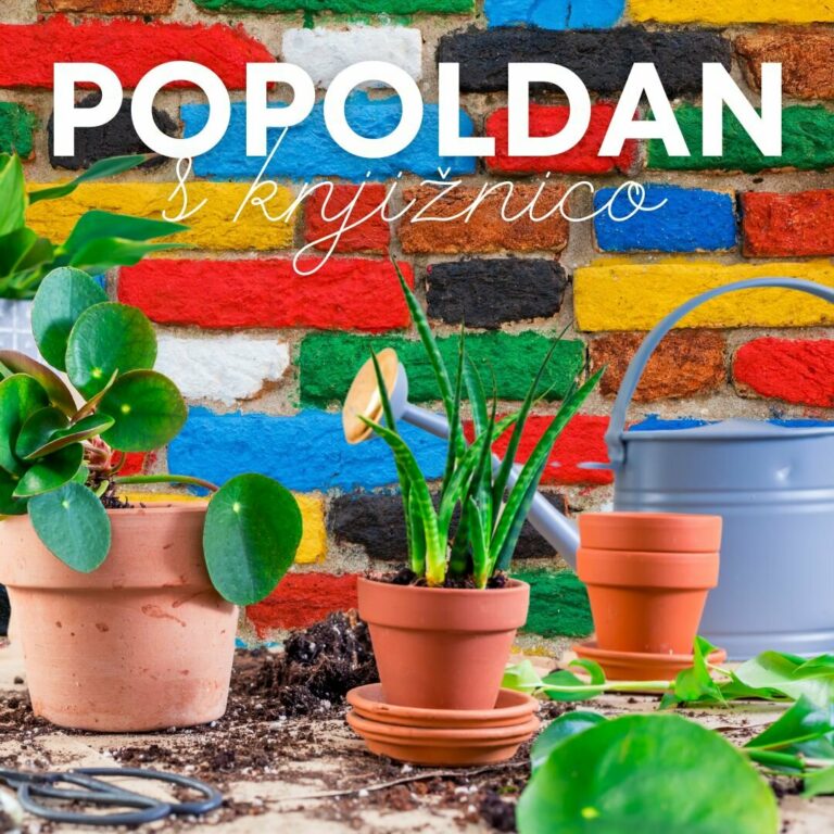 Popoldan s knjiznico2