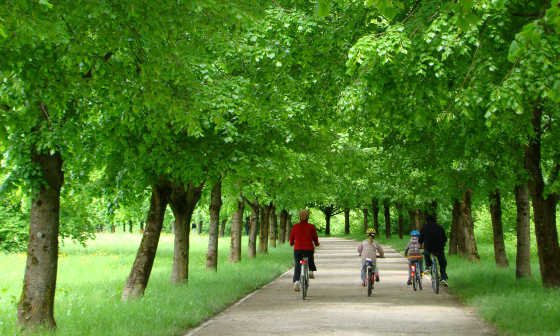 Pot spominov in tovaristva