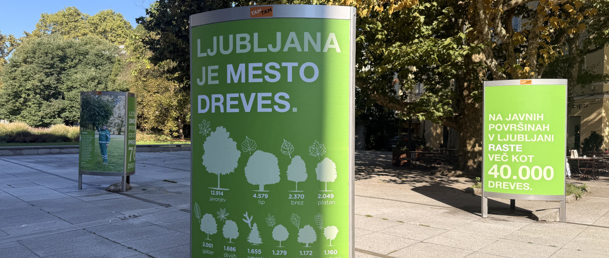 Razstava Drevesa v Ljubljani. Foto: arhiv MOL