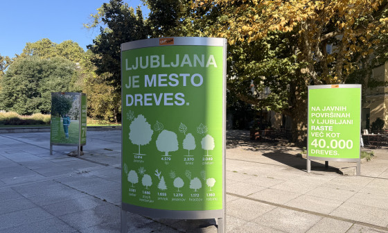 Razstava Drevesa v Ljubljani. Foto: arhiv MOL