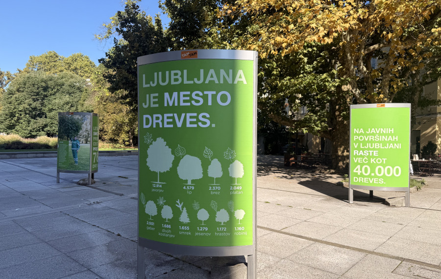 Razstava Drevesa v Ljubljani. Foto: arhiv MOL