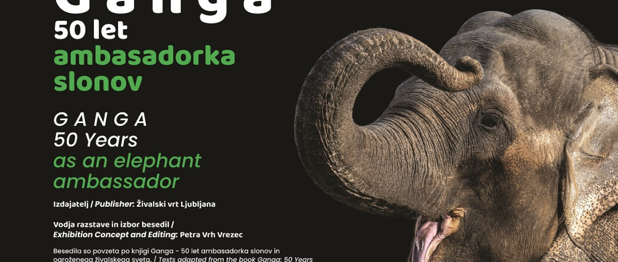 Banner razstava Gallusovo nabrezje. Foto vir: ZOO Ljubljana