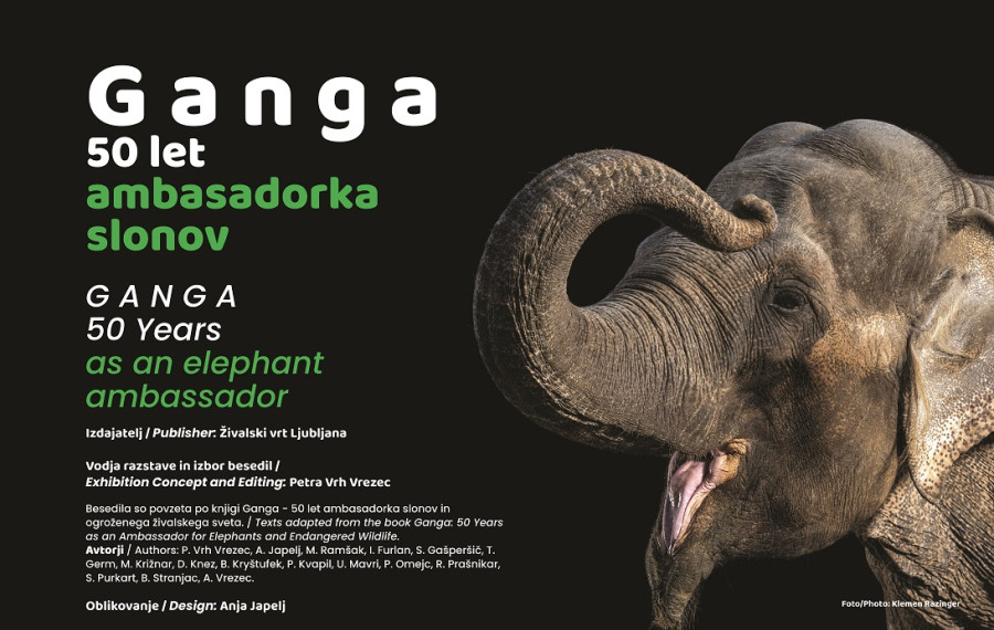 Banner razstava Gallusovo nabrezje. Foto vir: ZOO Ljubljana