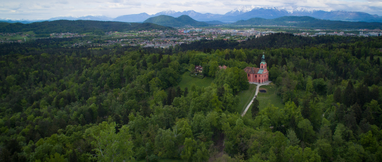 Rožnik