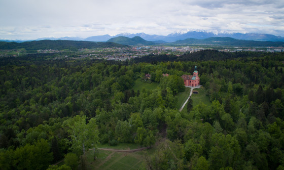 Rožnik