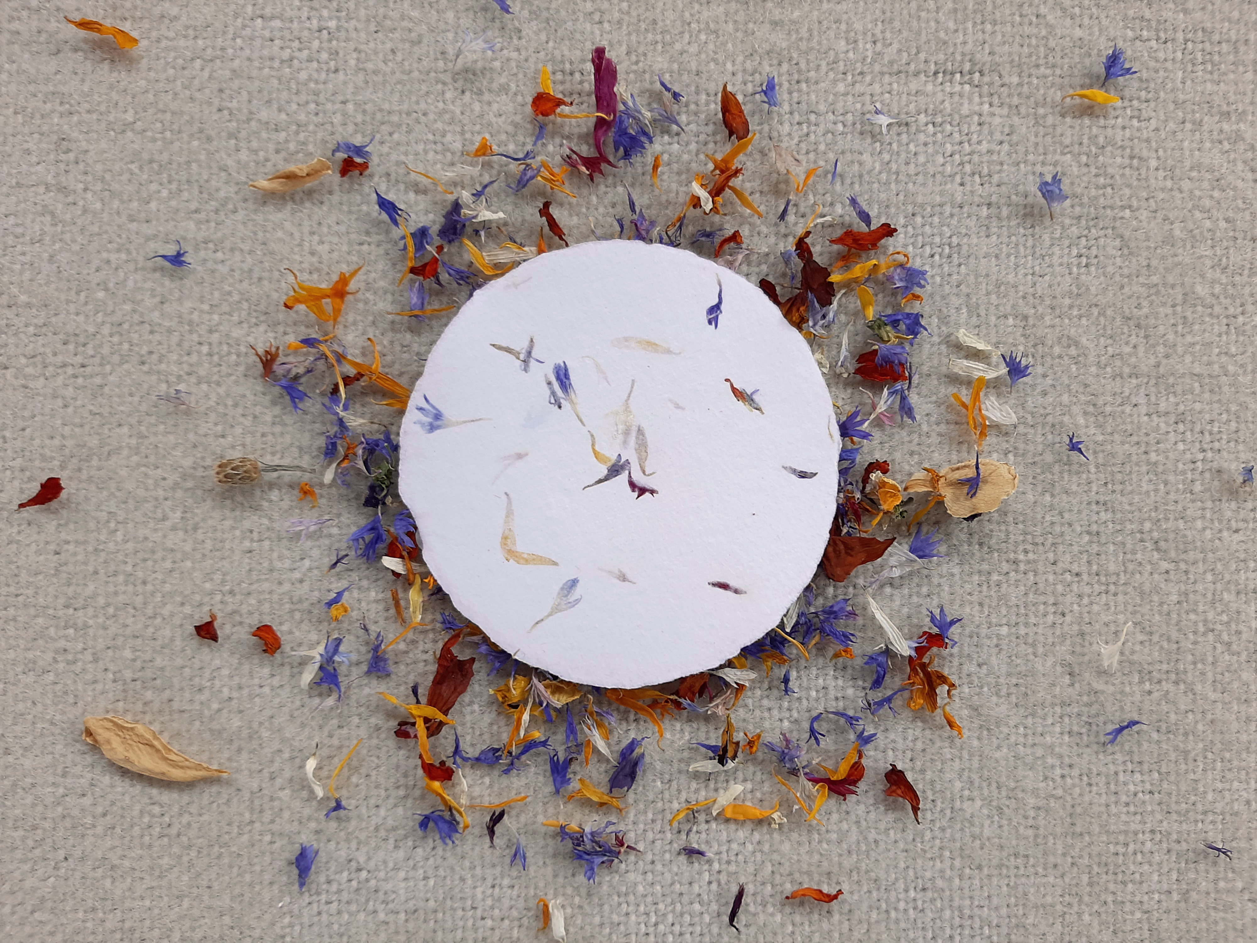 Seed paper 2