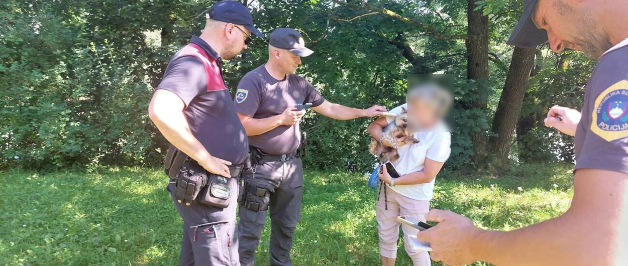 Slika ZZZiv zamegljeno