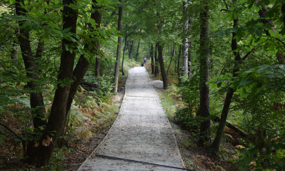 Na sprehod po Golovcu. Foto: Klemen Strmšnik