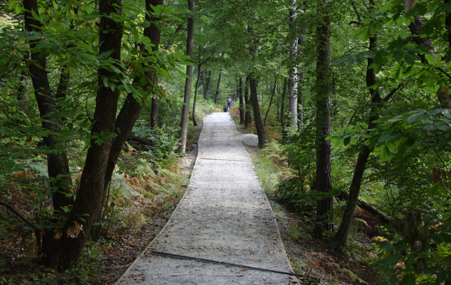 Na sprehod po Golovcu. Foto: Klemen Strmšnik