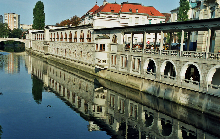 Pogled na Plečnikovo tržnico s Tromostovja, foto: D.Wedam