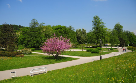 Park Tivoli, foto: D. Wedam, vir: Turizem Ljubljana 