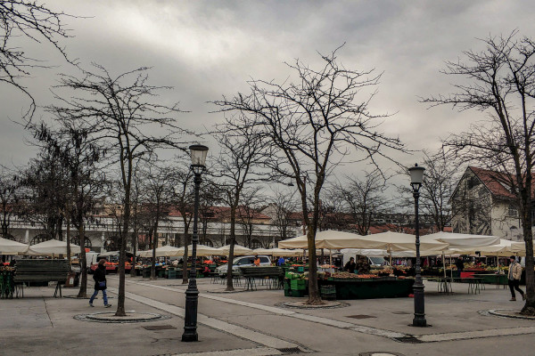 Trnata gledicevka na ljubljanski trznici Foto BrankaTrcak