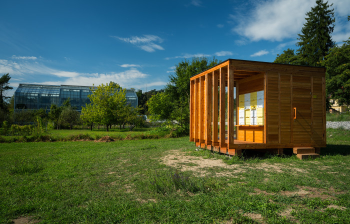 Urbana čebelja domovanja Žiga Koritnik