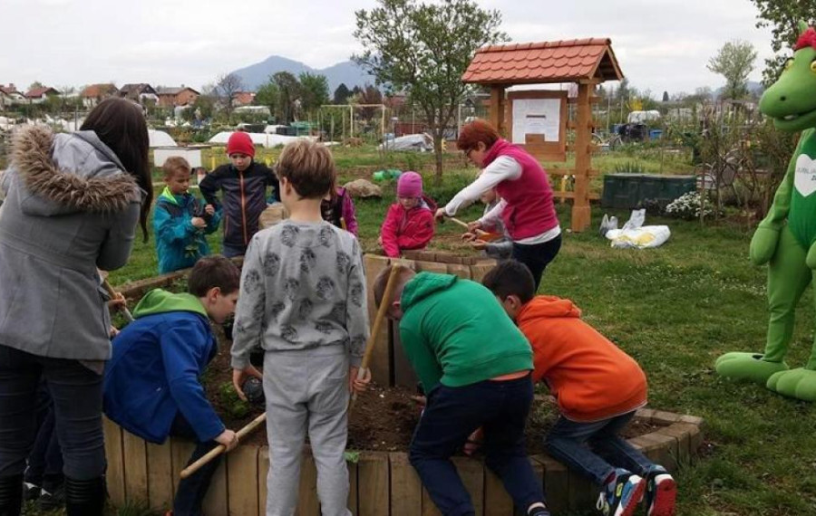 Ureditev zeliščnega vrta na vrtičkih na Ježici 