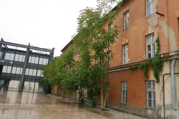 Veliki pajesen FotoBrankaTrcak 1