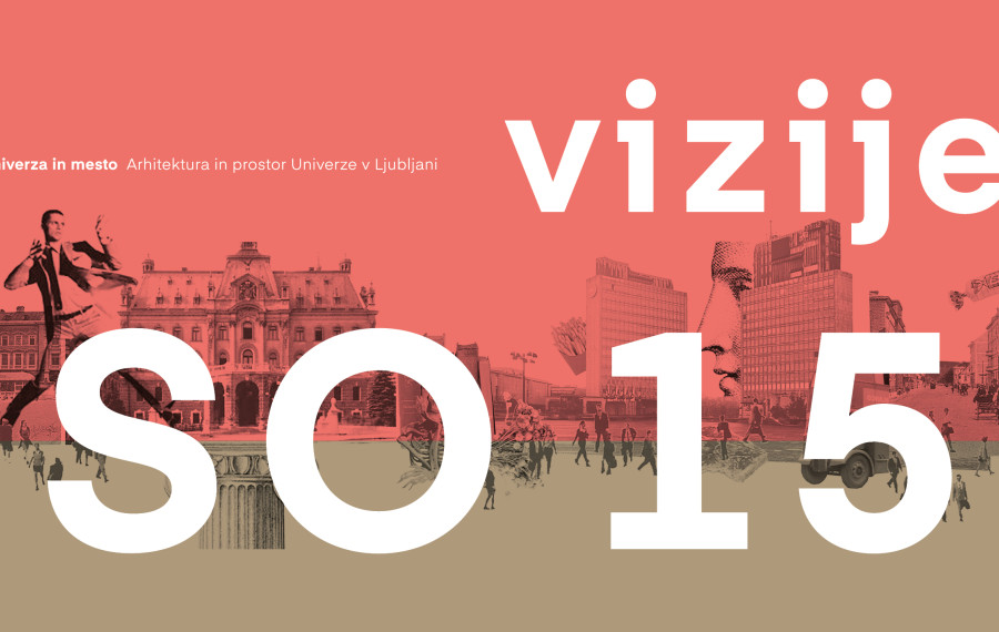 Vizije so 15 