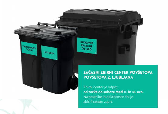 Zajeta slika8
