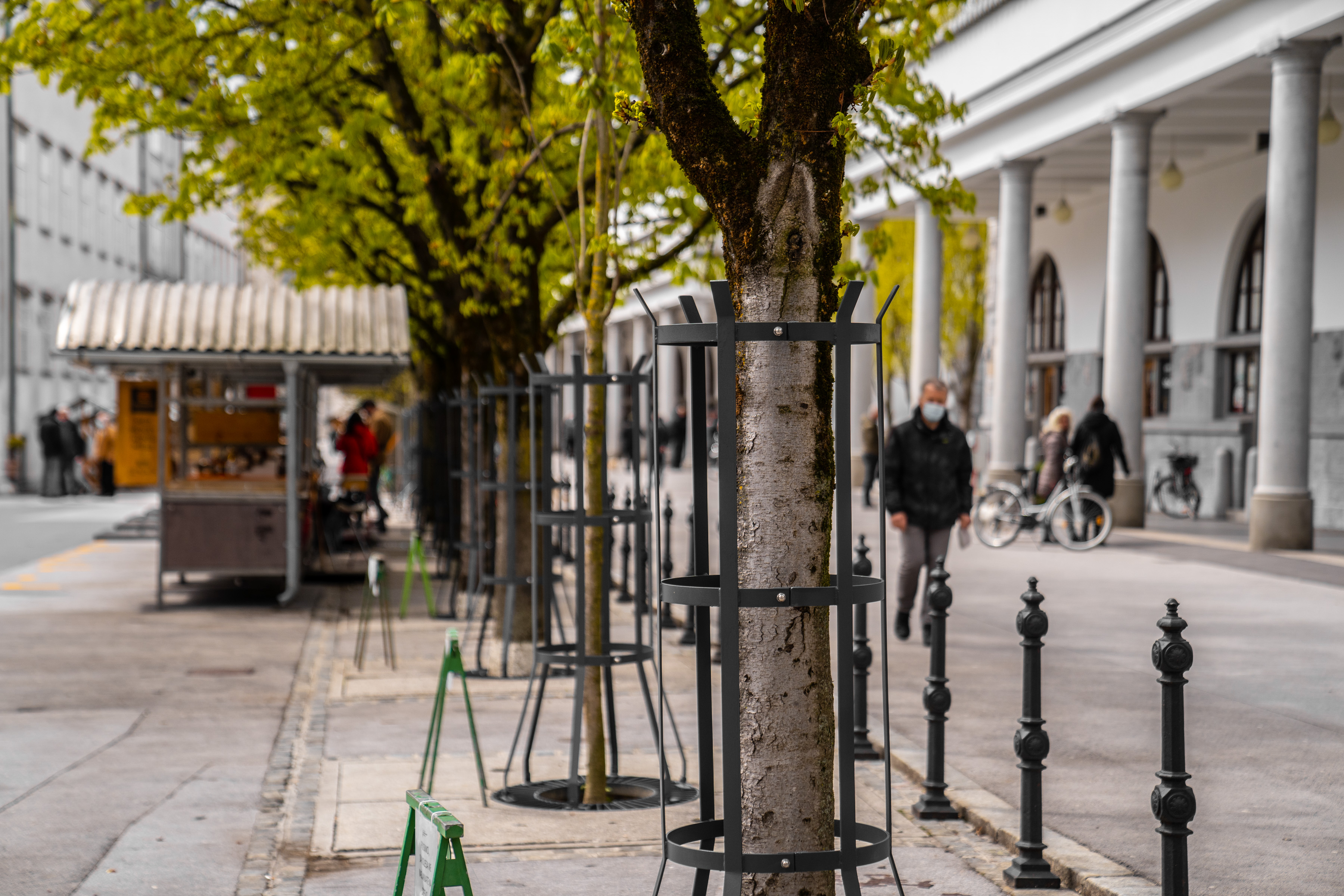Zascita dreves na osrednji Ljubljanski trznici 2