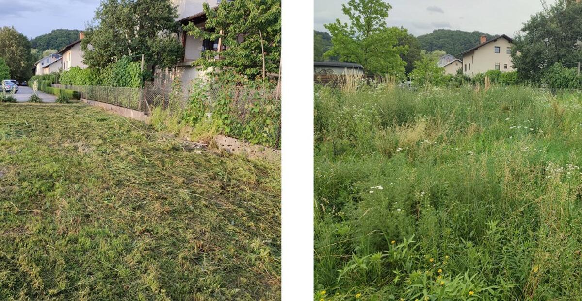 Pokošena površina na obmocju CS Rudnik. Foto: arhiv MOL